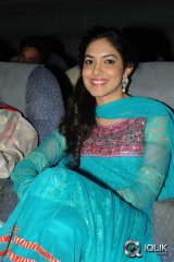 Prema Ishq Kaadhal Audio Success Meet